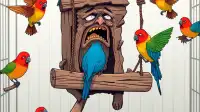 I Am the Bird Swing and I'm Being Loved to Death