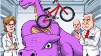 NTSB Forms Task Force to Address 'Dragon-Mounted Vehicle' Safety Concerns