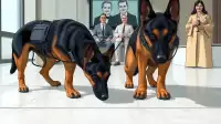 billionaires sigh with relief as regulators deploy dogs to sniff cash