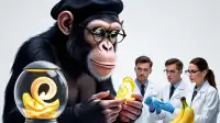 Researchers Shocked to Find Monkeys Not Always Optimizing for Maximum Treat Intake